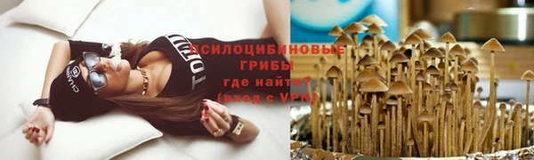 mix Гусиноозёрск